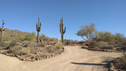 IMG-20210421-082204576