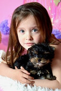Abigail-Griggs