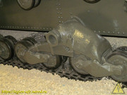 IMG-6640