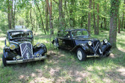 IMG-5015.jpg