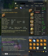 pvp-eq1