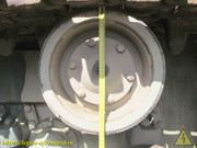 IMG-6561
