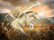 Untitled91_20250724211744