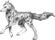 New-Wolf-lines-Clouded