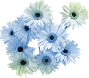 april-showers-SD-66