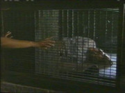 caged2