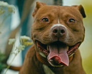 Screenshot_20230627_235022_Gallery