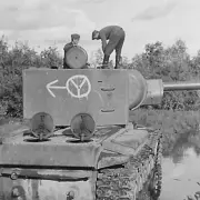 IMG-20230327-185150-649