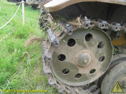 IMG-6546