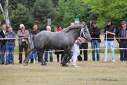 IMG-7298-wynik