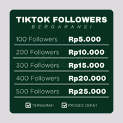 TikTok Followers