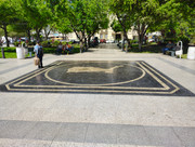 IMG-20260320-105925438-HDR