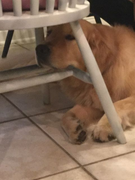 image_2023-02-02_230144635