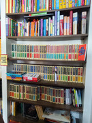 От Антальи на восток (до Мардина и Диярбакыра) + Анкара, ноябрь 2025.