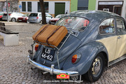 IMG-6549