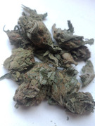 IMG_20230201_222259_796