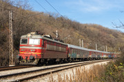 IMG-1485