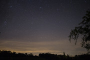 IMG-0002.jpg