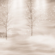 Z-Charlizes-Winter-Papers-4