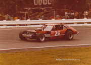 57331373_462238394316140_6130910268504408064_n