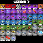 gliders-comp