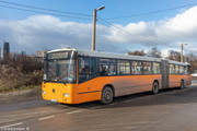 IMG-4193