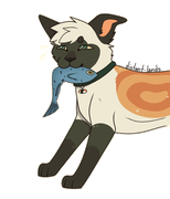 export202402200949536239