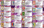 Album-Calciatori-2001-02-Panini-57