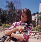 Natalie-Wood-me50