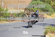 IMG-2588