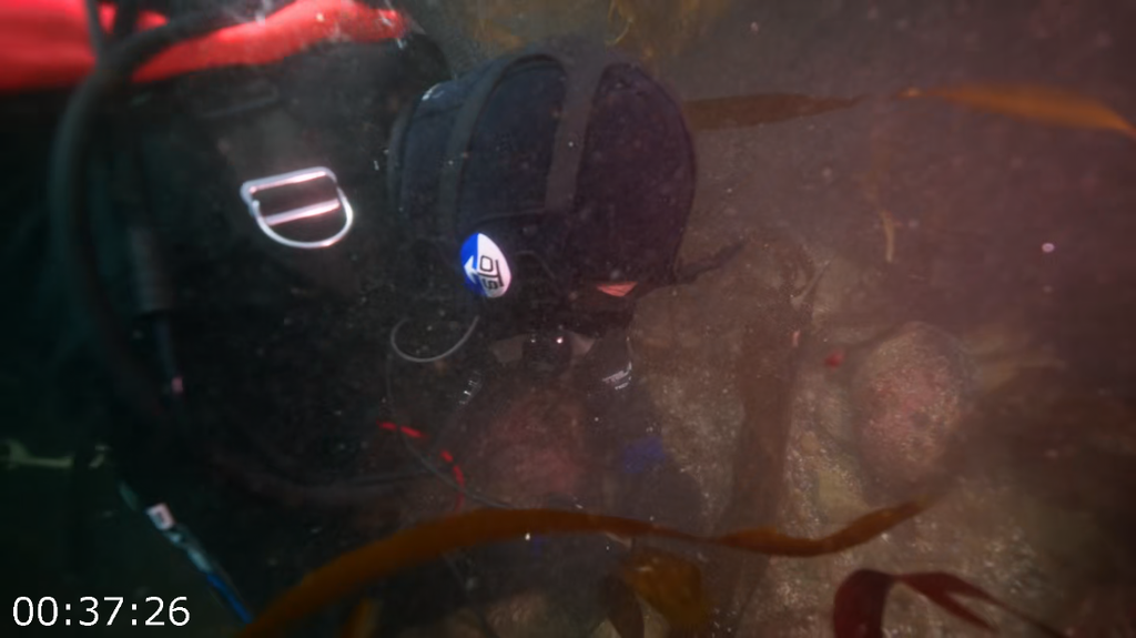 [Image: 2pv2rme0alw9.png]