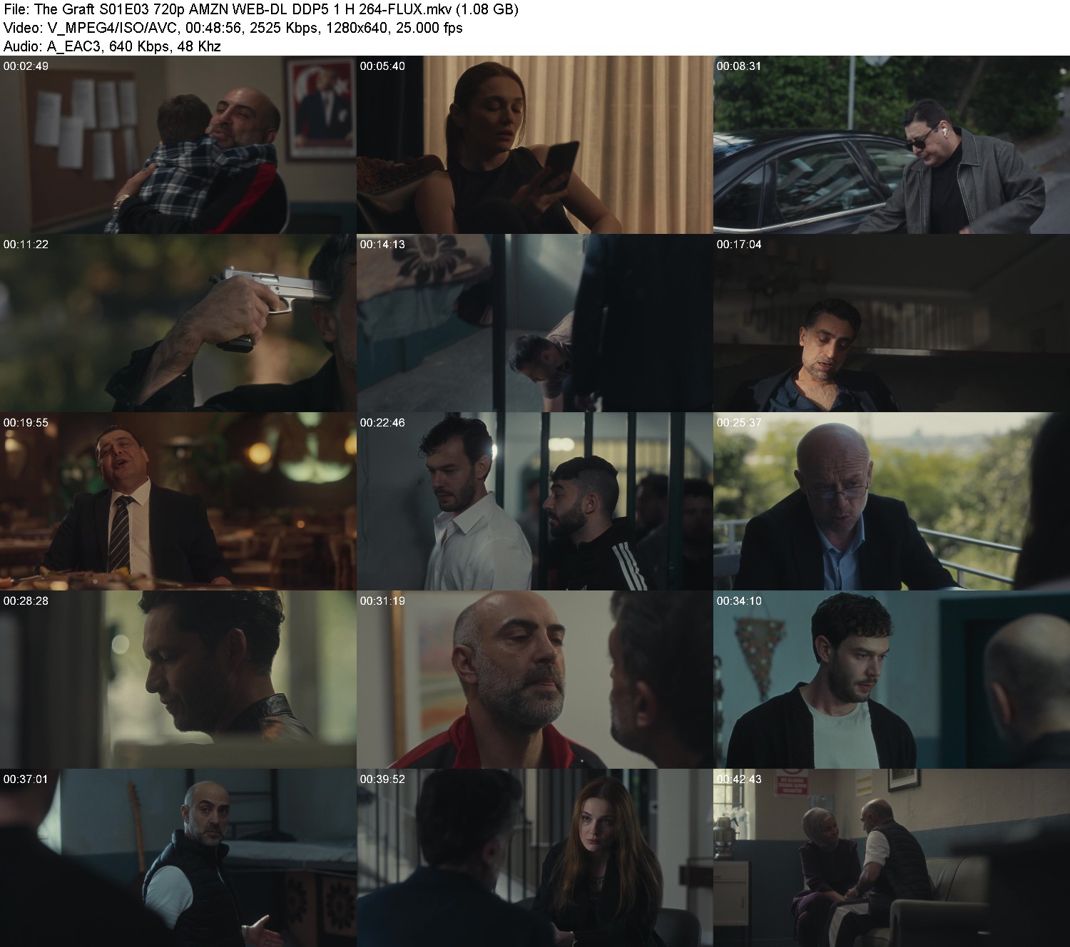 [Image: prjmb6j1t3d1.jpg]