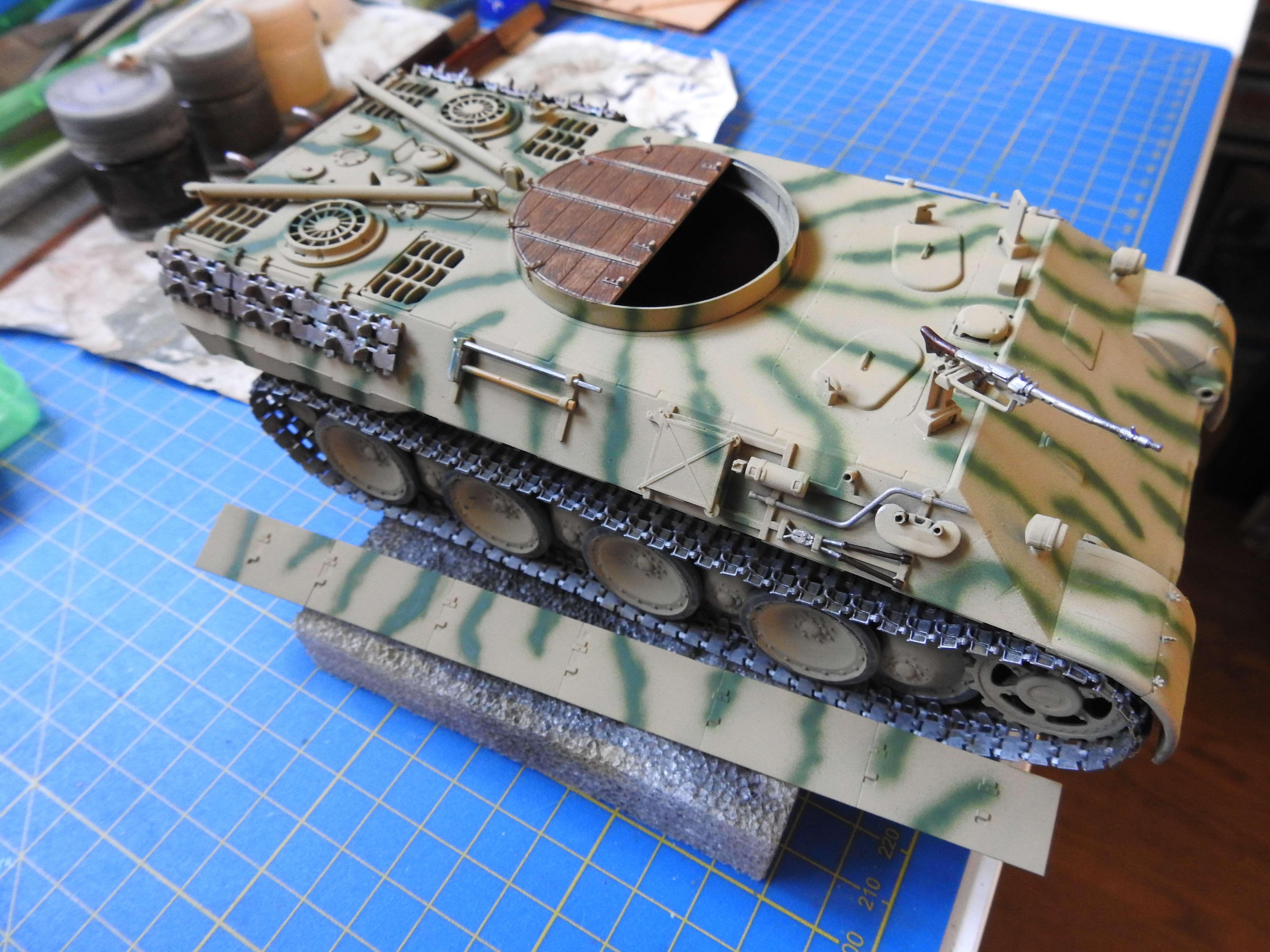 Bergepanther, ICM, 1/35 DSCN7351