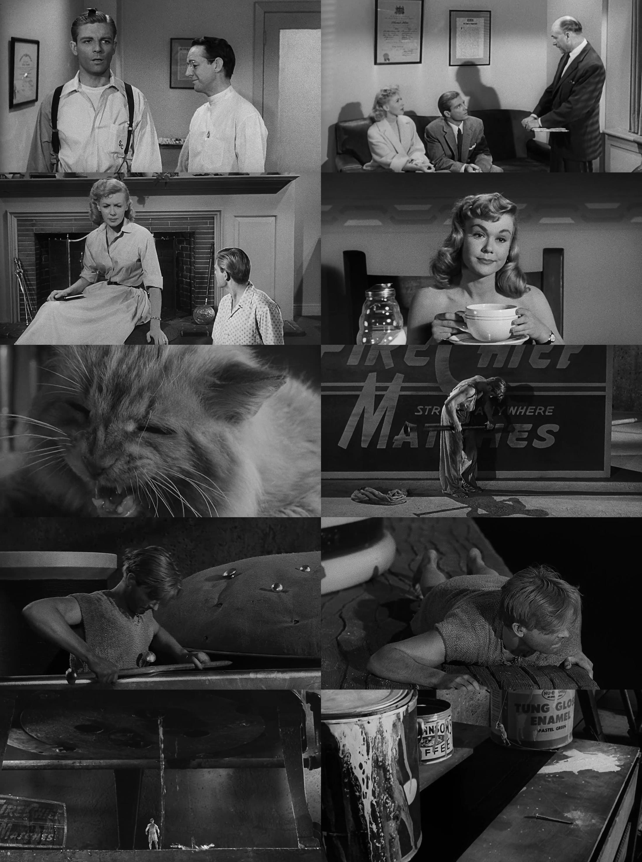 Radiazioni.BX.Distruzione.Uomo.The.Incredible.Shrinking.Man.1957.ITA-ENG.BDRip.720p.x264 Scarica Gratis