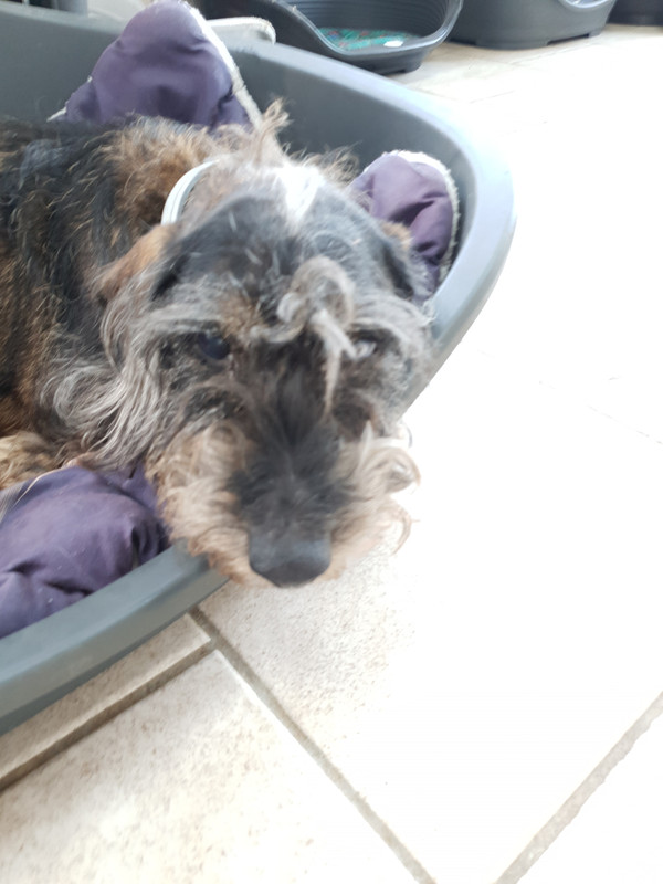 [Image: 20220326-182546.jpg]