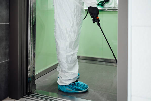 Kissimmee Termite Treatment