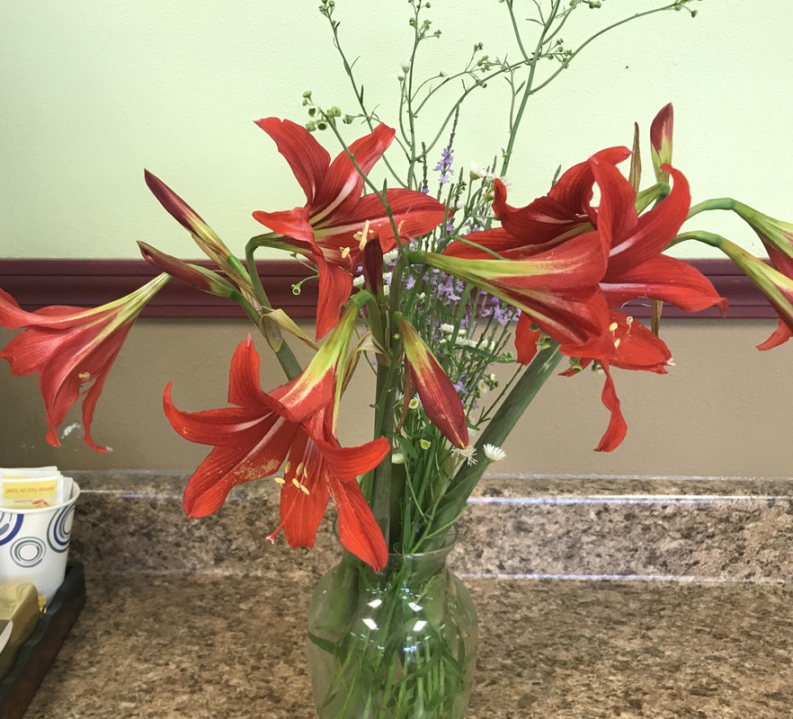 A7C1467B-BE46-4A92-9817-89B4AEB1356F