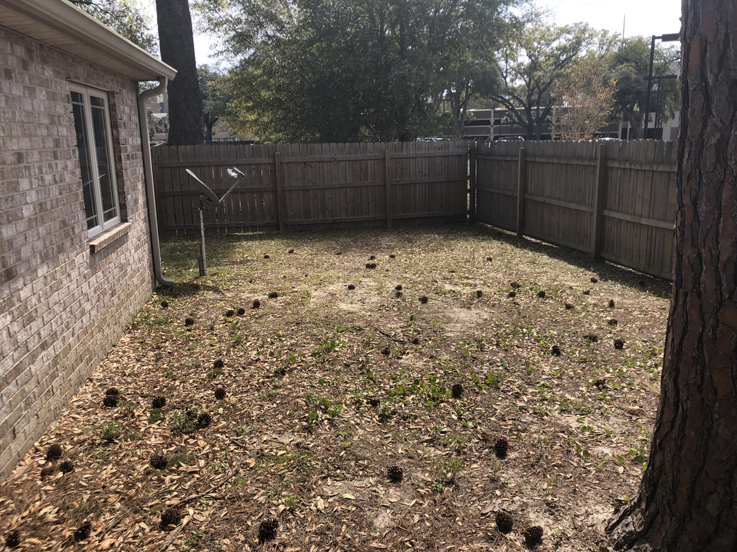 F6238923-C62E-45BB-805D-C740E20B9ADA