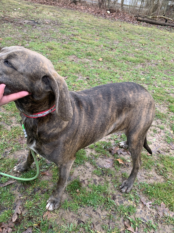 0248657A-CD72-4312-A6BA-400395D4D62D