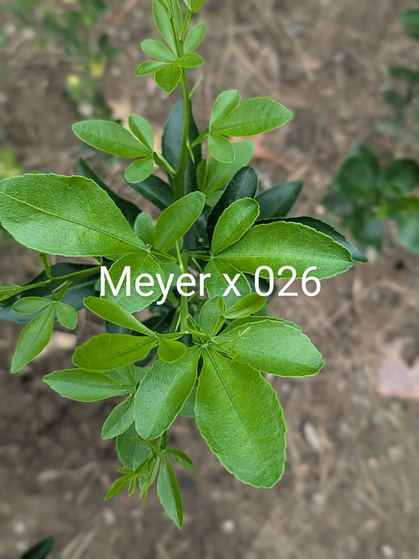 PXL_20240818_163056206.PORTRAIT~2