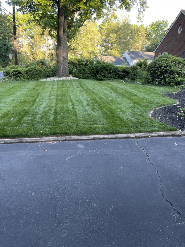 B3637D7A-B890-411F-A1F8-826A955CFA89