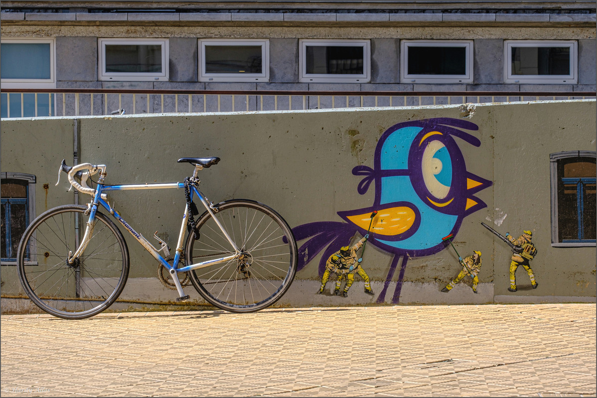 XT4G6705 2023 De Haan Part 7 Oostende ERWZ FB