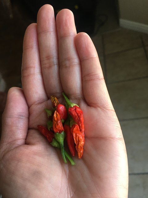 [Image: 1-B65-CACD-AEFC-47-DF-9-DD7-77-CC7-CA5-D34-C.jpg]