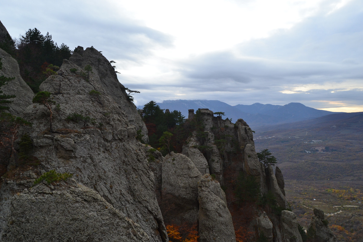 DSC 3821 — Postimages