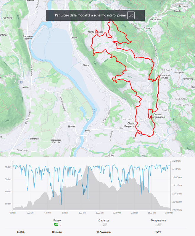 avis in cammino cisano 18k