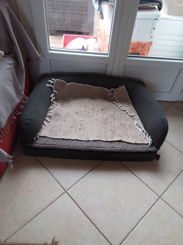 [Image: 20230717-155323.jpg]