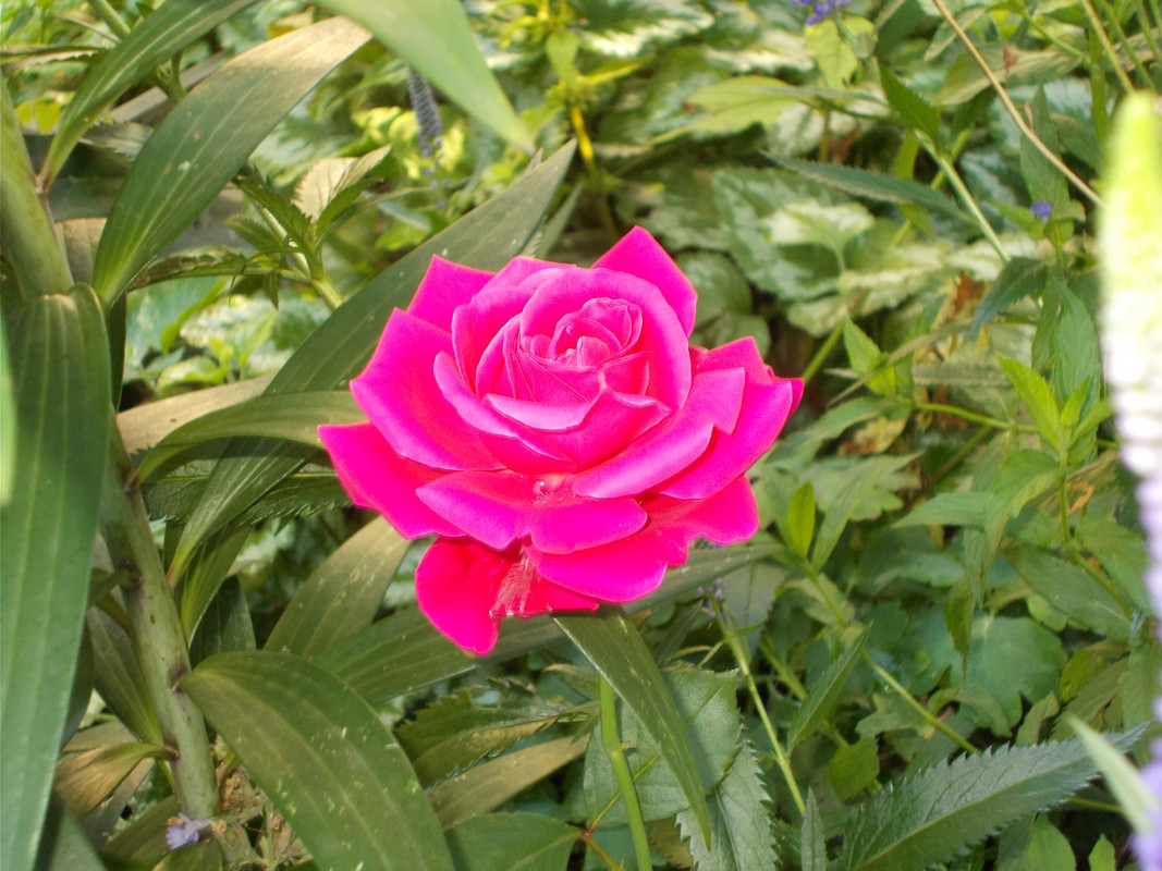DSCN1589