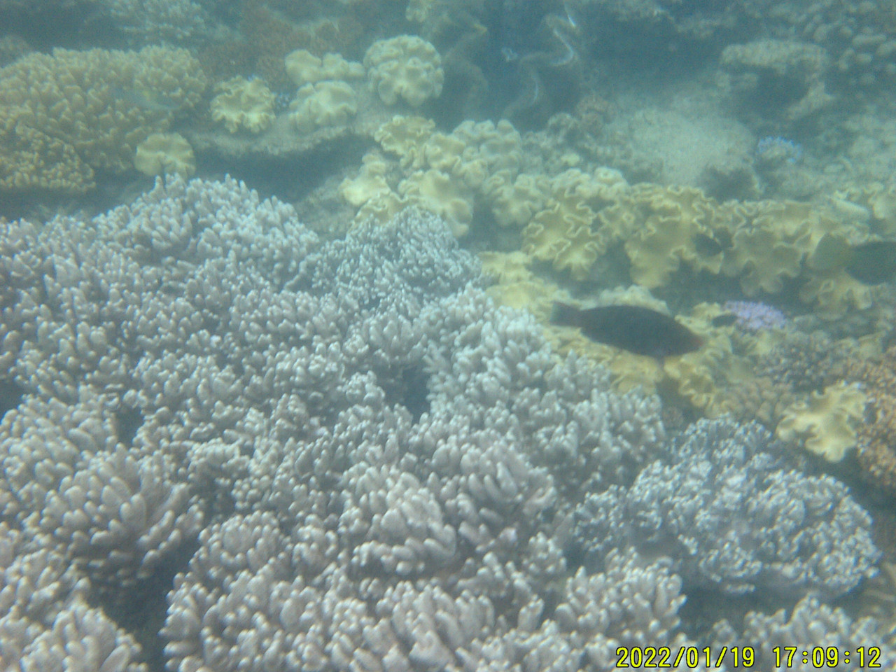 DSCF0013
