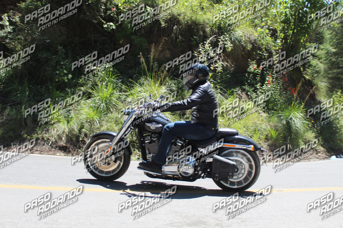 IMG 7764 wm 1158251 5000000005 watermarked — Postimages