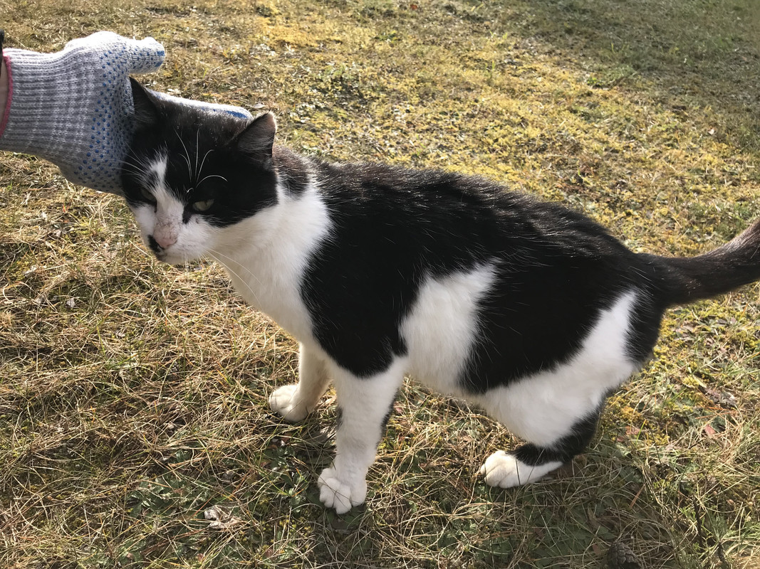 9C58C526-6A9A-4D61-9BBB-1AC5679BDAAD